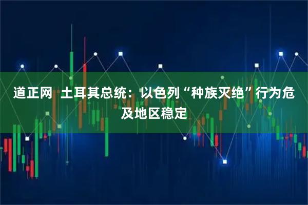 道正网  土耳其总统：以色列“种族灭绝”行为危及地区稳定