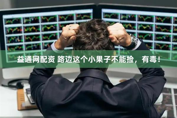 益通网配资 路边这个小果子不能捡，有毒！