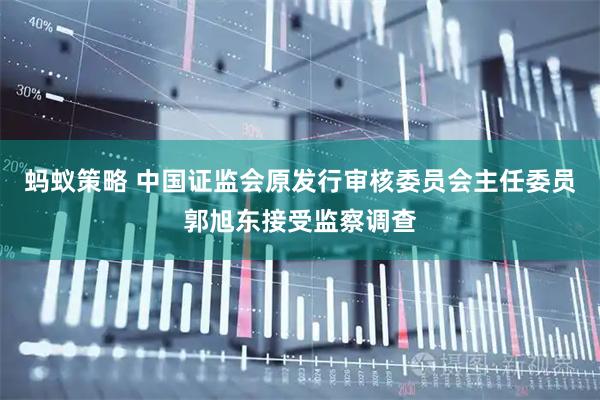 蚂蚁策略 中国证监会原发行审核委员会主任委员郭旭东接受监察调查