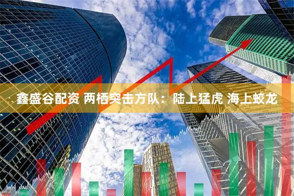 鑫盛谷配资 两栖突击方队：陆上猛虎 海上蛟龙