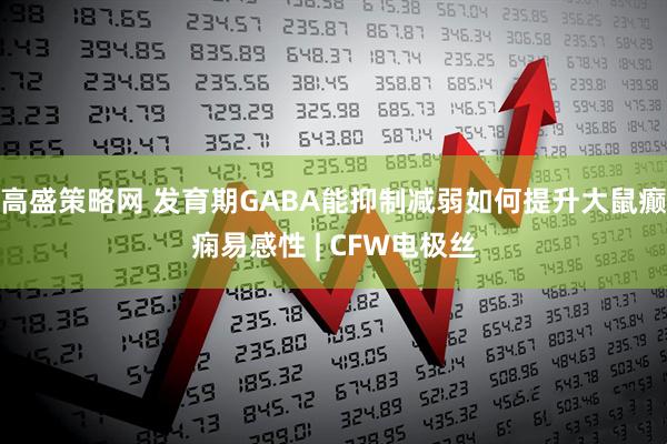 高盛策略网 发育期GABA能抑制减弱如何提升大鼠癫痫易感性 | CFW电极丝