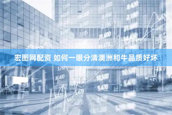 宏图网配资 如何一眼分清澳洲和牛品质好坏